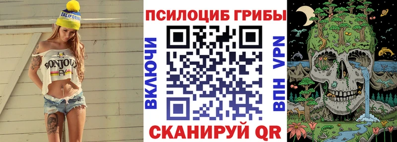 Купить где  Пыть-Ях  Псилоцибиновые грибы MAGIC MUSHROOMS 